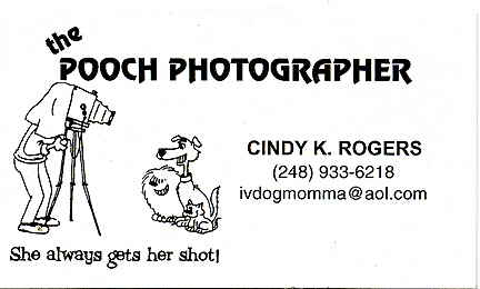 Pooch Photographer